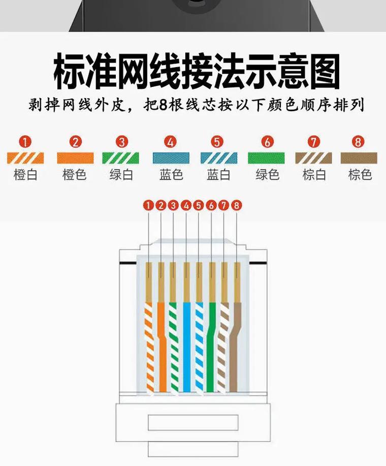 网线接头图片 智能科技 网线接头图片 网线接头图片 智能科技